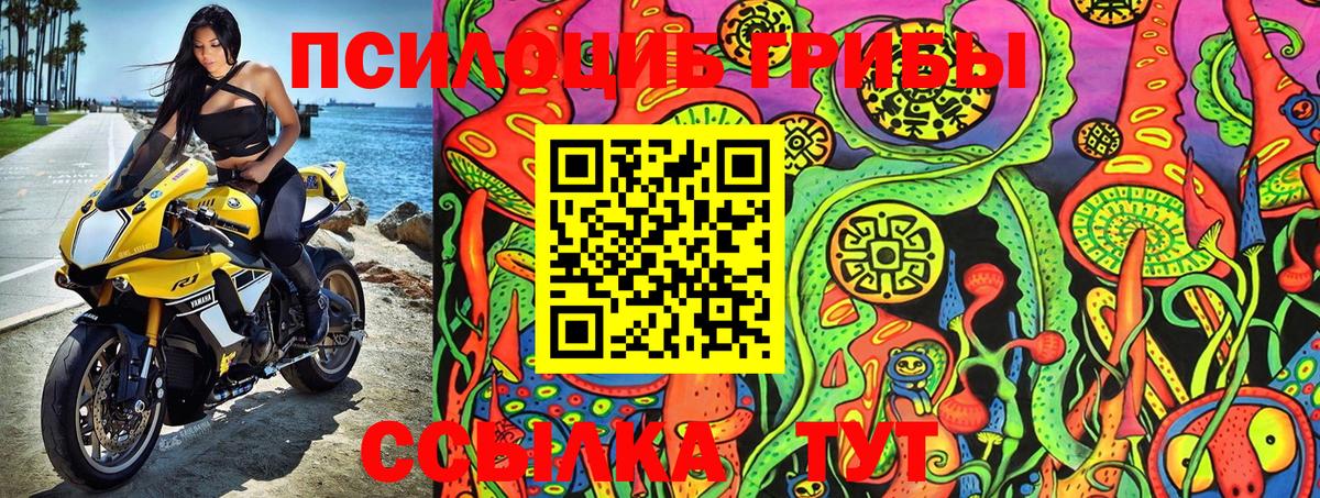 Галлюциногенные грибы MAGIC MUSHROOMS  Псилоцибиновые грибы Psilocybe  Камышлов  Вход с VPN 