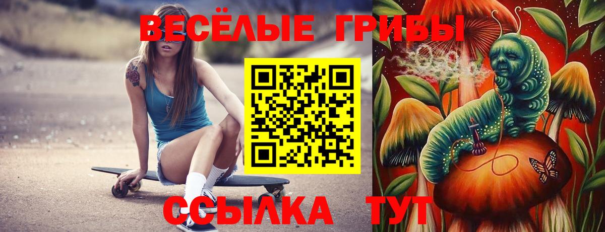 Галлюциногенные грибы прущие грибы Камышлов
