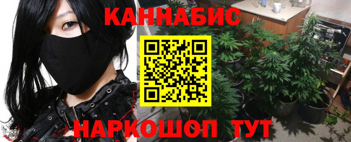 Шишки марихуана AK-47  Вход с VPN  Камышлов  Бошки марихуана Amnesia  Шишки марихуана VHQ 